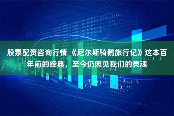 股票配资咨询行情 《尼尔斯骑鹅旅行记》这本百年前的经典，至今仍照见我们的灵魂