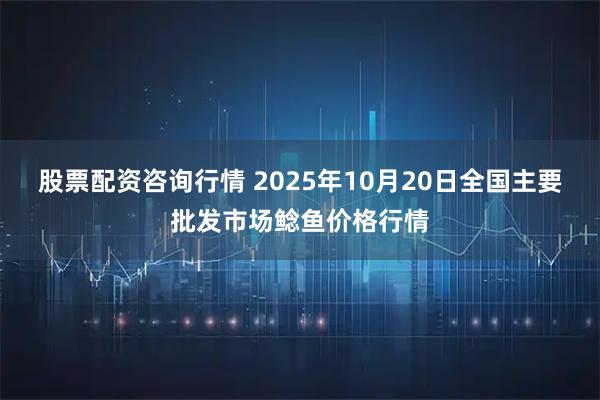 股票配资咨询行情 2025年10月20日全国主要批发市场鲶鱼价格行情