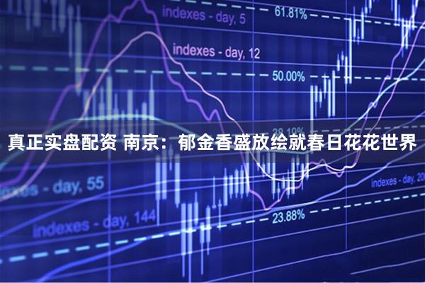 真正实盘配资 南京：郁金香盛放绘就春日花花世界