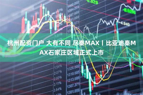 杭州配资门户 大有不同 尽秦MAX丨比亚迪秦MAX石家庄区域正式上市